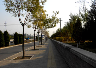 阜石路綠化工程設計案例