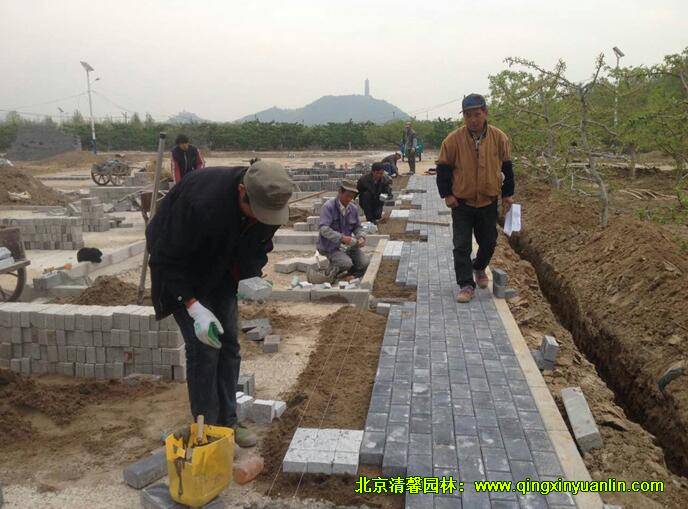 整鋪粘合層，鋪設(shè)透水磚