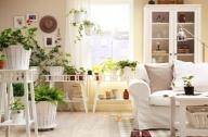 春季用植物去裝扮居室美極了！