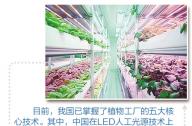 “植物工廠”到底有什么秘密？